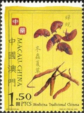 Traditional Chinese Medicine