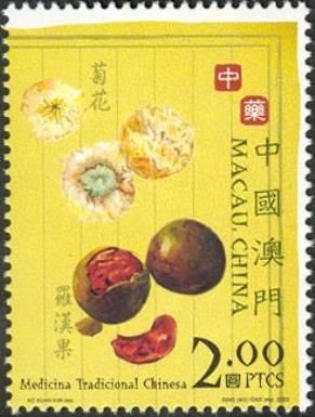 Traditional Chinese Medicine
