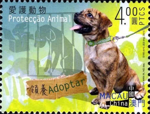 Dog (Canis lupus familiaris)