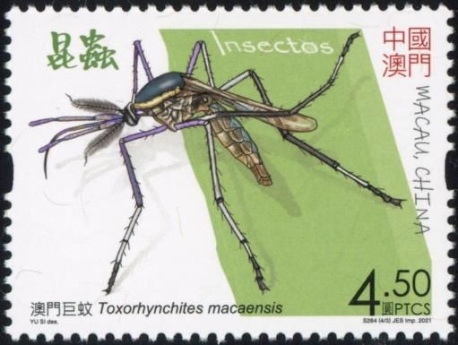 Toxorhynchites macaensis