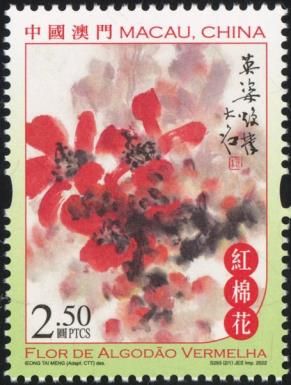 Red Cotton Tree Flower (Bombax ceiba)