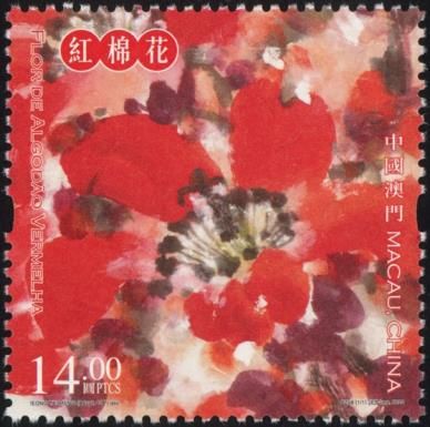 Red Cotton Tree Flower (Bombax ceiba)