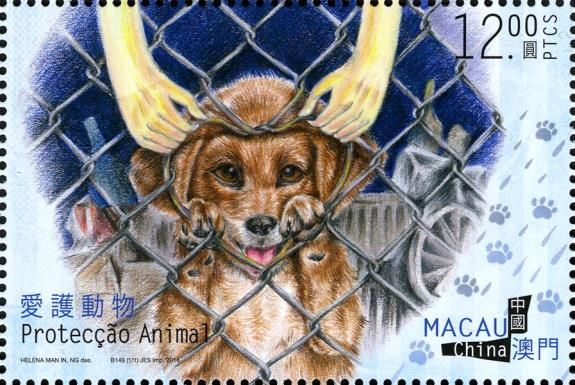 Dog (Canis lupus familiaris)