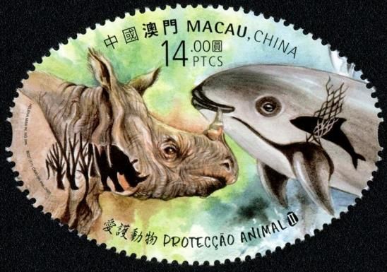 Javan Rhinoceros (Rhinoceros sondaicus)