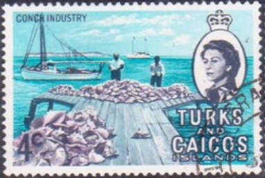 Conch industry