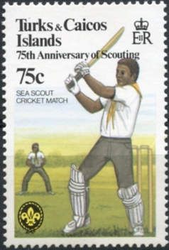 Sea Scout Cricket Match