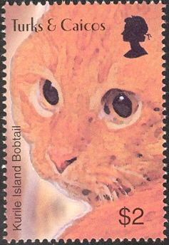 Kurile Island Bobtail (Felis silvestris catus)