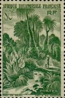 Lush Vegetation