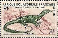 Monitor Lizard (Varanus sp.)