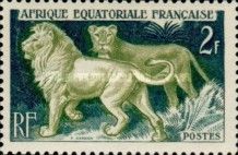 Lion (Panthera leo)