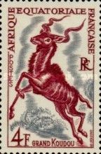 Greater Kudu (Tragelaphus strepsiceros)