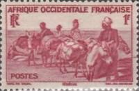 Donkey Caravan, Senegal