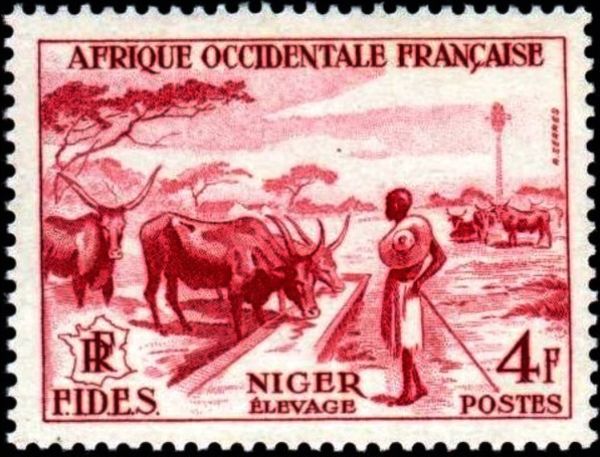 Cattle Trough (Niger)