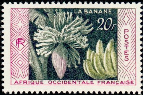 Banana Production