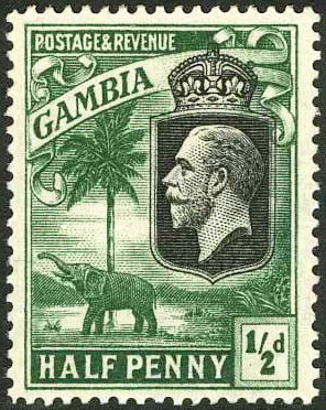 King George V, African Elephant (Loxodonta africana)
