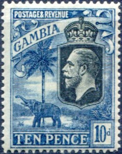 King George V, African Elephant (Loxodonta africana)