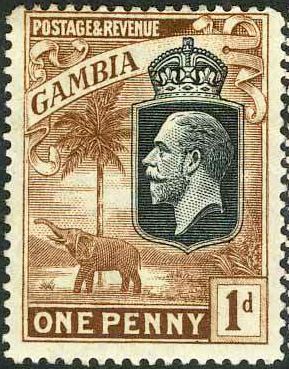King George V, African Elephant (Loxodonta africana)