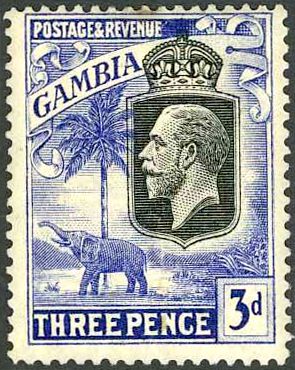 King George V, African Elephant (Loxodonta africana)