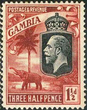King George V, African Elephant (Loxodonta africana)