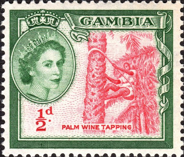 Tapping for Palm Wine