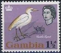 Cattle Egret (Bubulcus ibis)