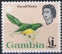 African Emerald Cuckoo (Chrysococcyx cupreus)