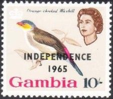 Orange-cheeked Waxbill (Estrilda melpoda) - overprinted