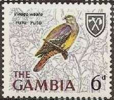 Bruce's Green Pigeon (Vinago waalia)