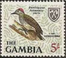 Cardinal Woodpecker (Dendropicus fuscescens zechi)