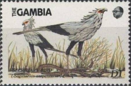 Secretarybird (Sagittarius serpentarius)
