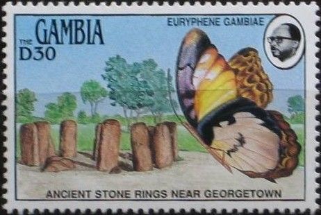 Gambia Nymph (Euriphene gambiae), Ancient Stone Rings near