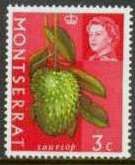 Soursop