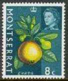 Guava