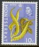 Ochro