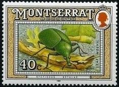 Leaf Weevil (Byctiscus betulae)