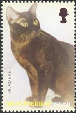 Burmese