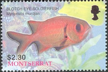 Blotch Eye Soldierfish (Myripristis murdjan)