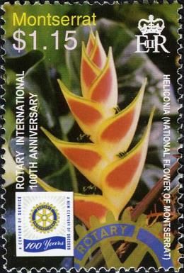 Heliconia (National Flower)