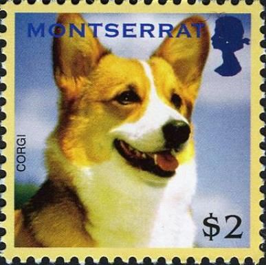 Welsh Corgi