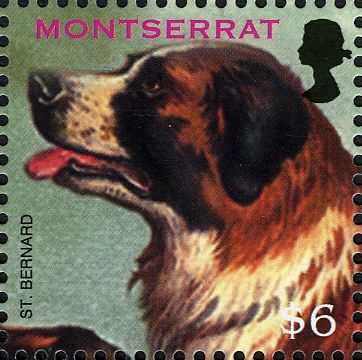 St. Bernard