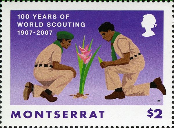 Boy Scouts and Bird of Paradise Flower