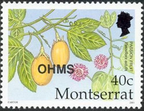 Passion Fruit (Passiflora edulis) - Overprinted