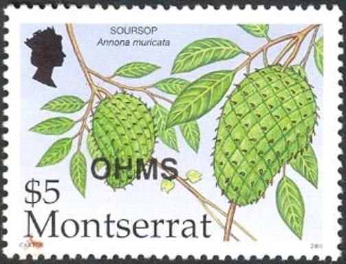 Soursop (Annona muricata) - Overprinted
