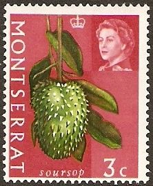 Soursop