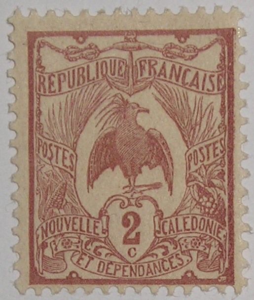 Kagu (Rhynochetos jubatus)
