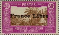 Traditional Hut of Native Chief overprint