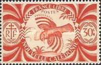Kagu (Rhynochetos jubatus)