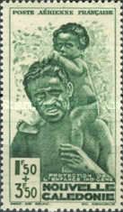 Work of Indigenous Child Protection