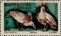 Kagu (Rhynochetos jubatus)