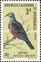New Caledonian Imperial-pigeon (Ducula goliath)
